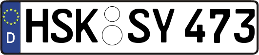 HSK-SY473