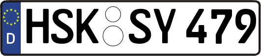 HSK-SY479