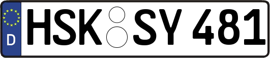 HSK-SY481