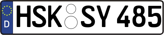 HSK-SY485