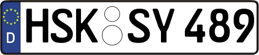 HSK-SY489