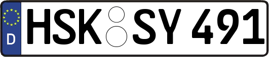HSK-SY491