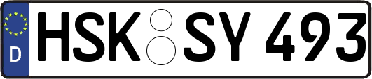 HSK-SY493