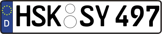 HSK-SY497