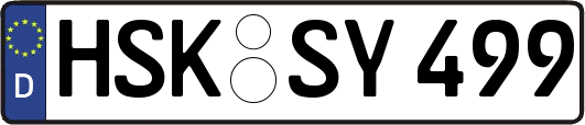HSK-SY499