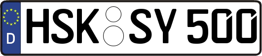 HSK-SY500
