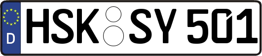 HSK-SY501