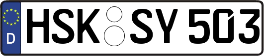 HSK-SY503
