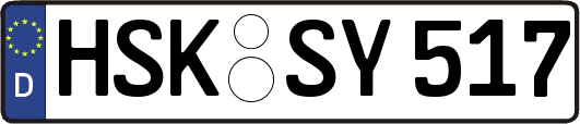 HSK-SY517