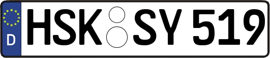 HSK-SY519