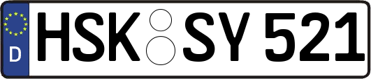 HSK-SY521