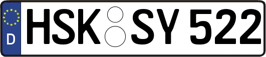HSK-SY522