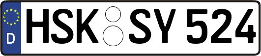HSK-SY524