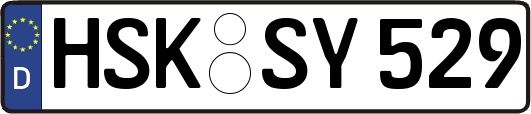 HSK-SY529
