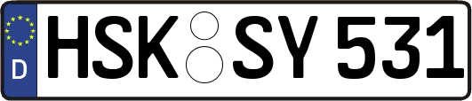 HSK-SY531