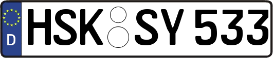 HSK-SY533