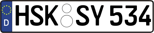 HSK-SY534