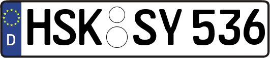 HSK-SY536