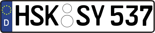 HSK-SY537