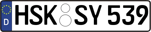 HSK-SY539