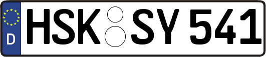 HSK-SY541