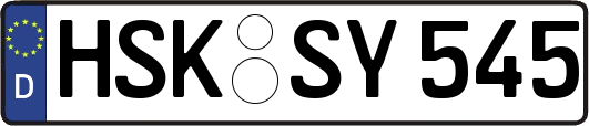 HSK-SY545
