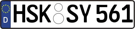HSK-SY561