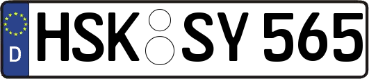 HSK-SY565