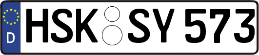 HSK-SY573