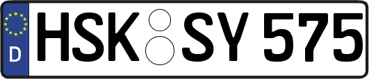HSK-SY575