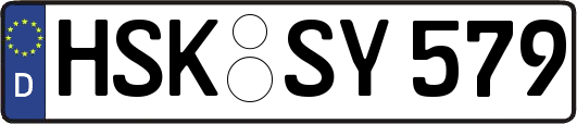 HSK-SY579