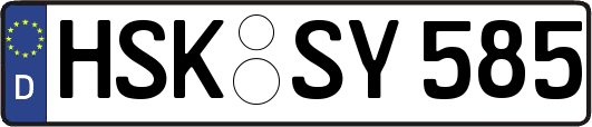 HSK-SY585