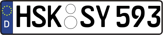 HSK-SY593