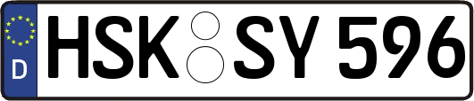 HSK-SY596