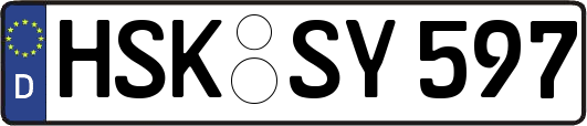 HSK-SY597