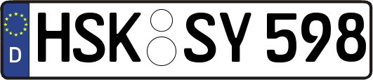 HSK-SY598