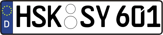 HSK-SY601