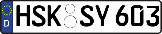 HSK-SY603