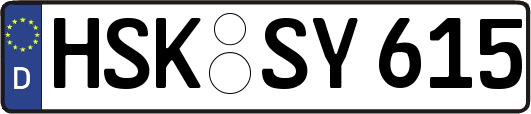 HSK-SY615