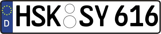 HSK-SY616