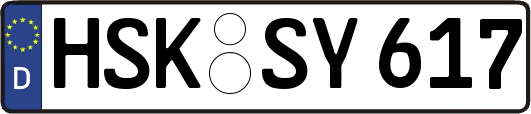 HSK-SY617