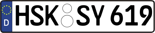 HSK-SY619