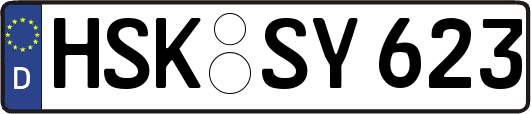 HSK-SY623