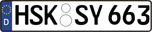 HSK-SY663