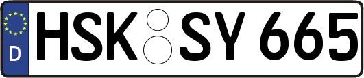 HSK-SY665
