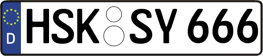 HSK-SY666