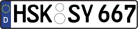 HSK-SY667