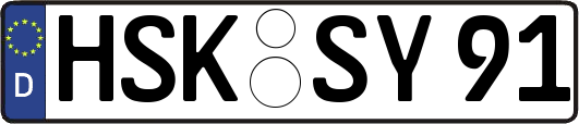 HSK-SY91