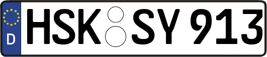 HSK-SY913