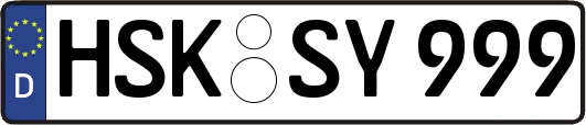 HSK-SY999